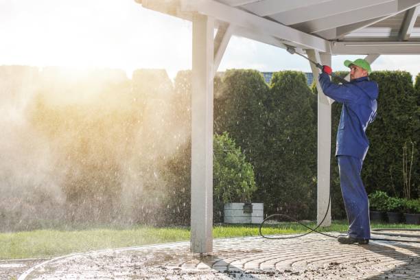 Best Parking Lot Cleaning in Timberville, VA